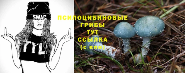 COCAINE Белокуриха