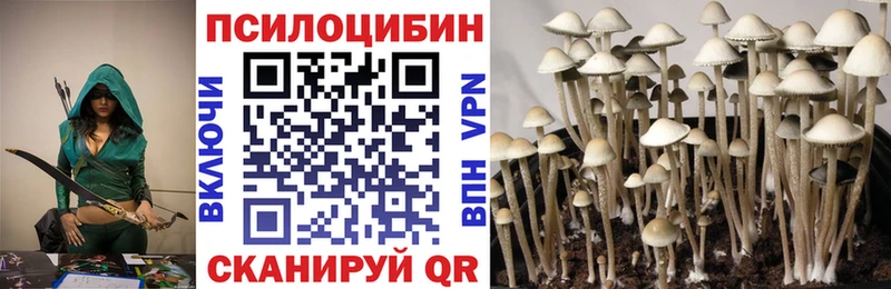 Псилоцибиновые грибы MAGIC MUSHROOMS  цена   Минеральные Воды 